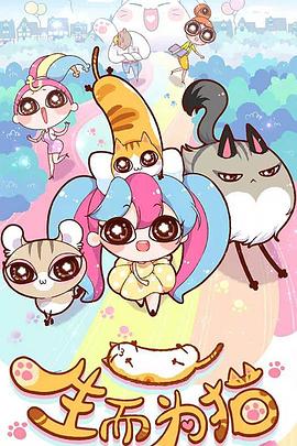 好的seo优化招商网络平台